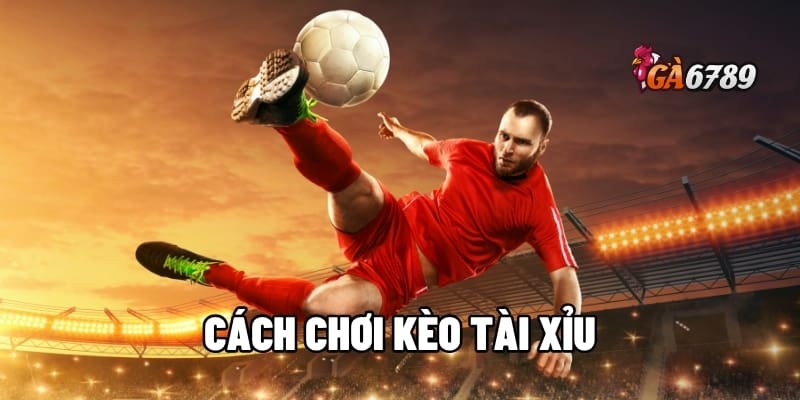 Cách Chơi Kèo Tài Xỉu: Bắt Bài Nhà Cái – Thắng Lớn Mỗi Ngày 1 cách chơi kèo tài xỉu