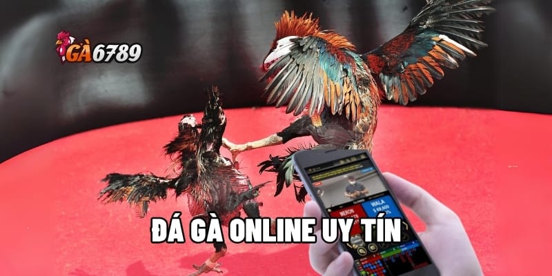 Đá Gà Online Uy Tín - Nơi Kê Thủ Hội Tụ – Tiền Về Như Nước 1 đá gà online uy tín