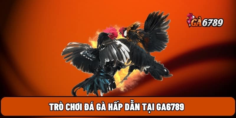 GA6789 6 Trò chơi đá gà hấp dẫn tại GA6789