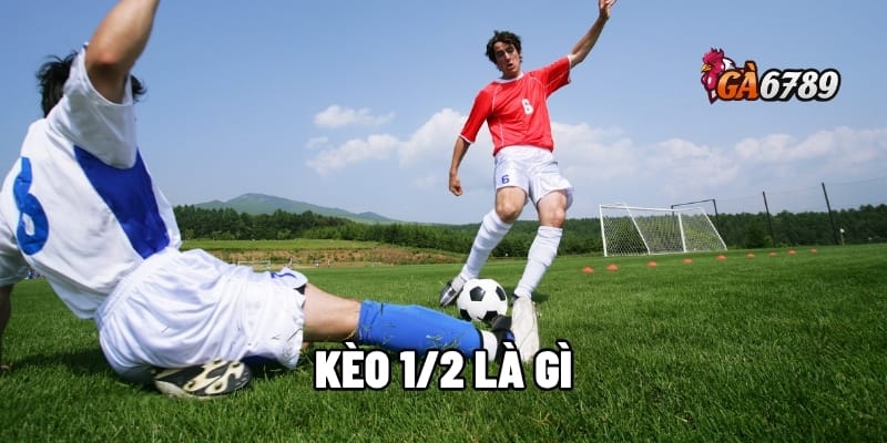 Kèo 1/2 là gì? Cách đọc và chơi kèo 1/2 tại nhà cái GA6789 1 kèo 1/2 là gì
