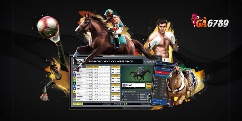 Bùng Nổ Cùng Thể Thao GA6789 Đa Dạng Kèo – Tỷ Lệ Ăn Khủng 3 Những môn thể thao được yêu thích nhất tại GA6789